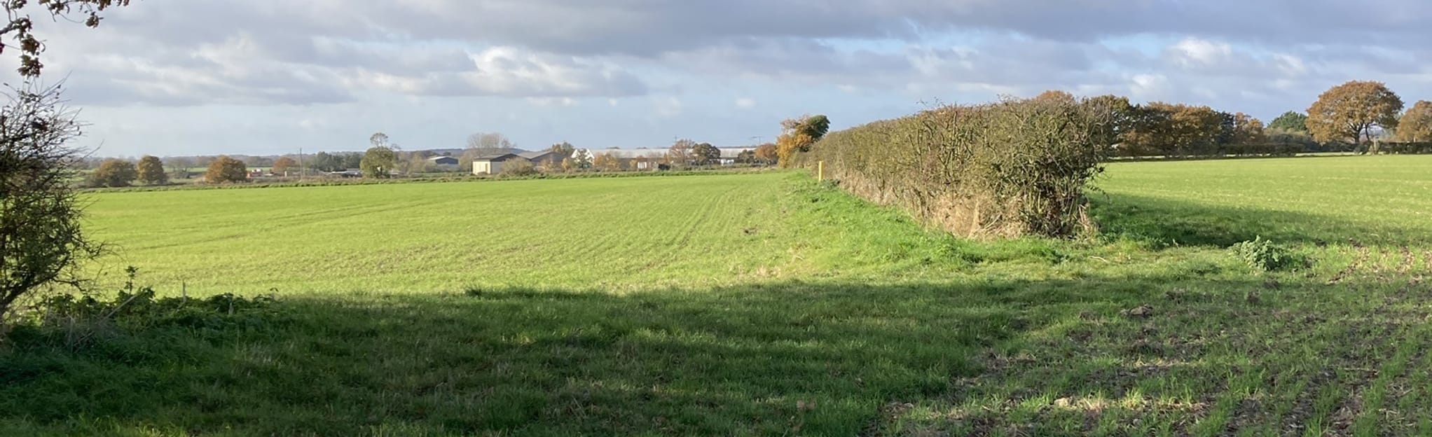 Little Totham and Tolleshunt Major Circular, Essex, England 24