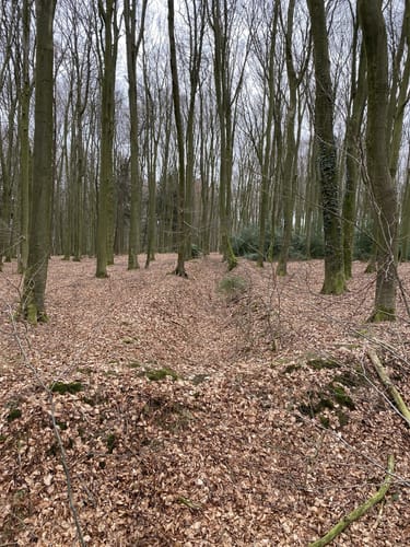 Über die Höhen der Baumberge zur Bruder-Klaus-Kapelle