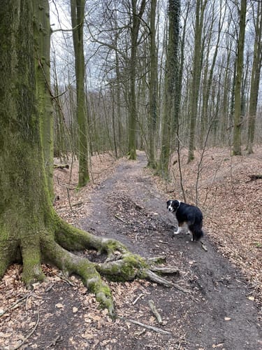 Über die Höhen der Baumberge zur Bruder-Klaus-Kapelle