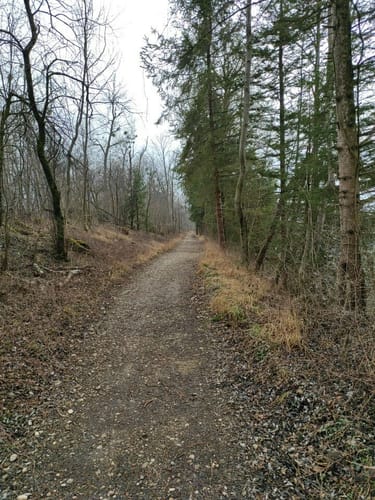 Um den Happinger See
