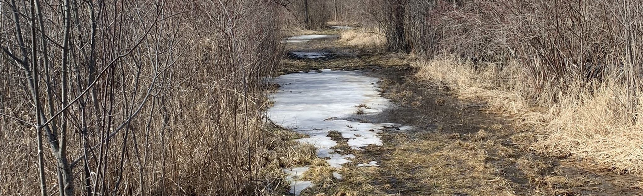 North Meridian Road Park Orange Trail Michigan AllTrails
