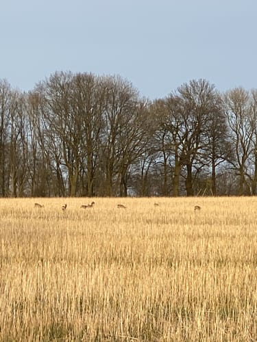 Nottuln - Stockum