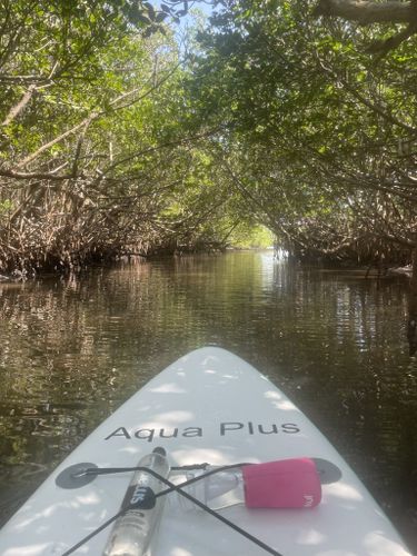 St. Lucie Inlet Preserve State Park