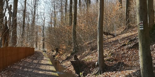 Aue - Wiesenburg - Zwickau
