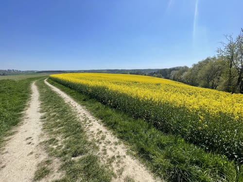 Düssel-Wülfrath-Neviges-Katernberg