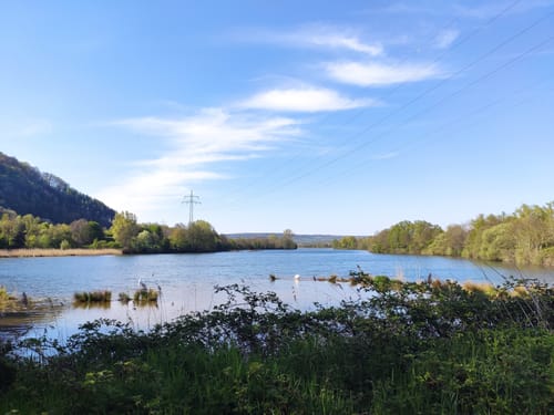 Ökosee Dillingen / Saar