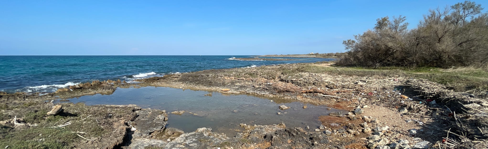 Torre Guaceto Spiaggia di Penna Grossa Map, Guide Apulia, Italy AllTrails