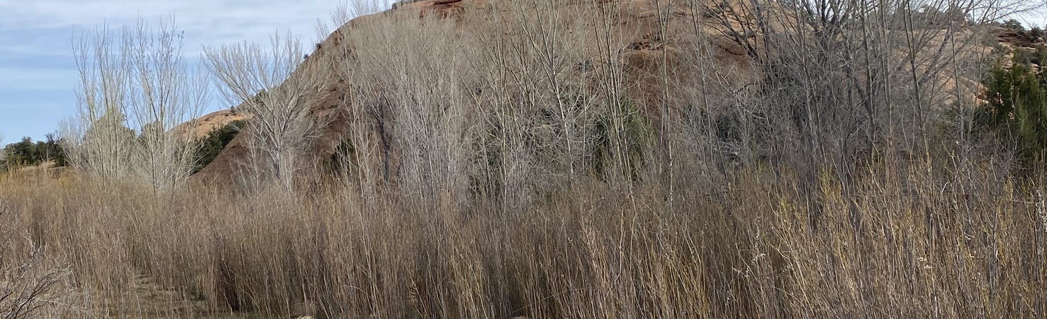 Deer Creek Campground Trail, Utah 35 Reviews, Map AllTrails