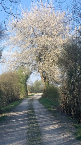 Neufinsing - Speichersee