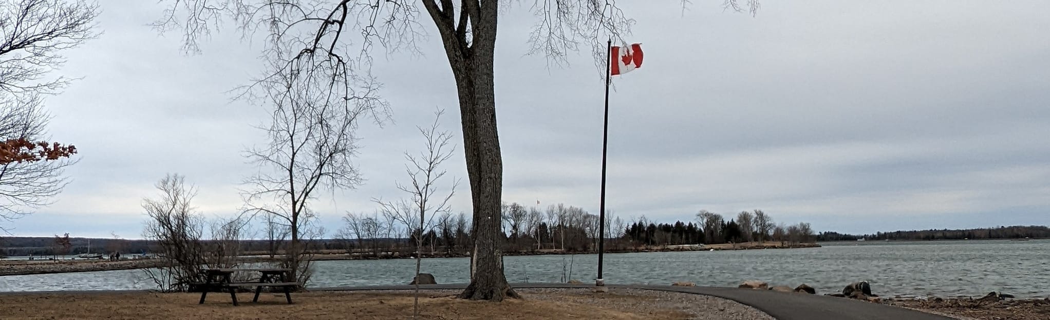 Bellevue Park Loop, Ontario, Canada 46 Reviews, Map AllTrails