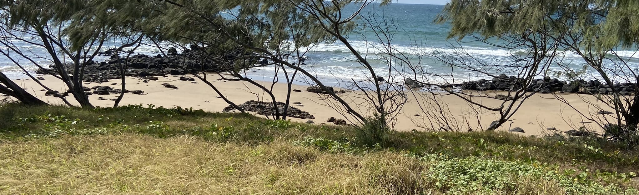 Heads Walk 14 Reviews, Map Queensland, Australia AllTrails