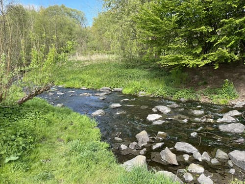 Nette-Seen (Premiumwanderweg)