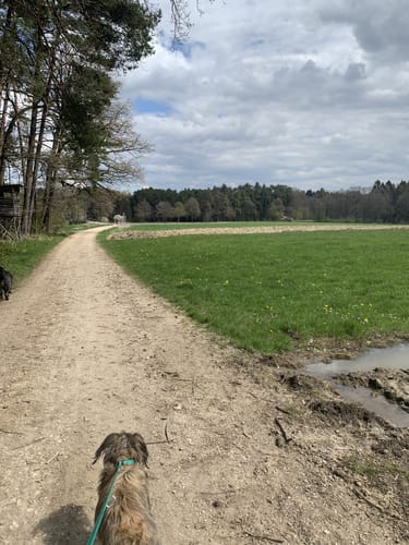 Zeugenbergrunde um Neumarkt