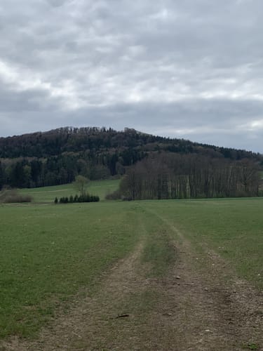 Zeugenbergrunde um Neumarkt