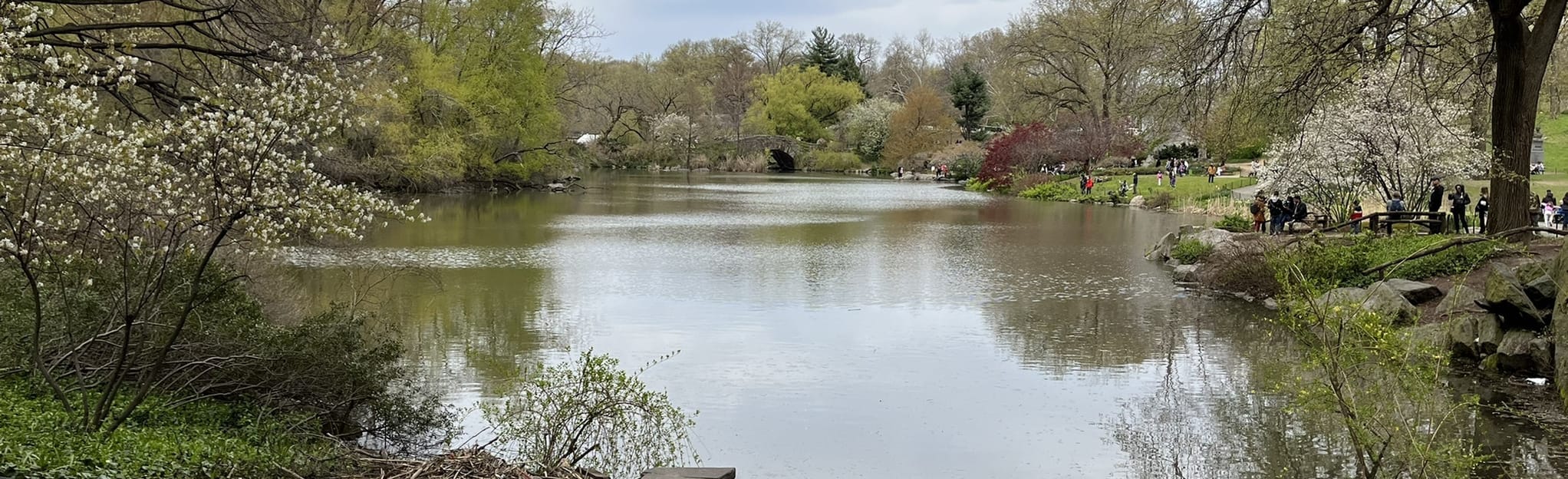 Central Park Outer Loop 449 Fotos Nova Iorque AllTrails