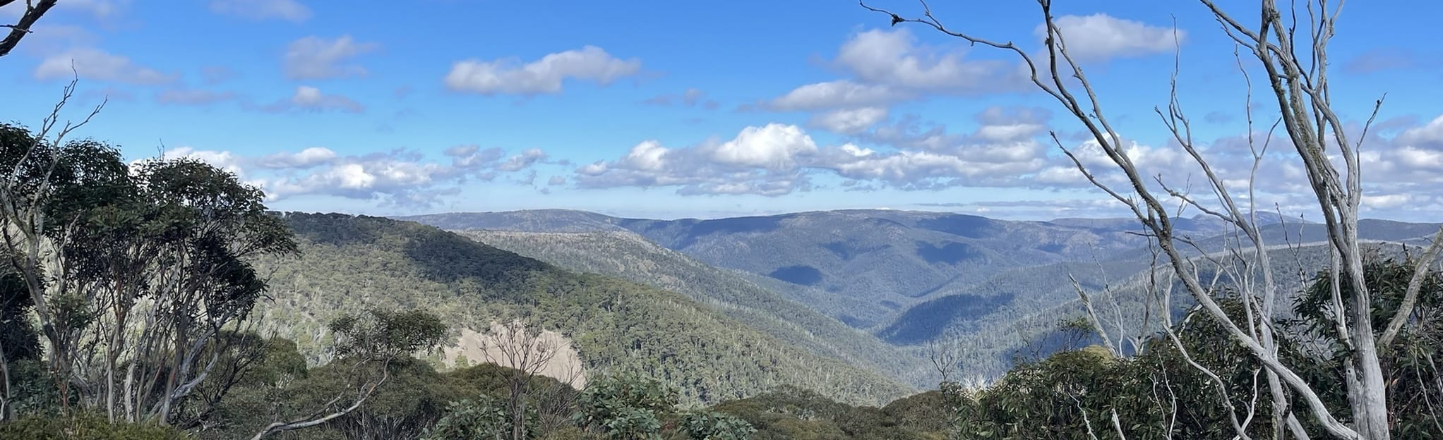 Dargo Lookout via Dargo Loop, Victoria, Australia - 7 Reviews, Map ...