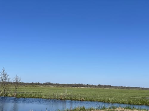 Ums Hochmoor ab Ahrensfelde