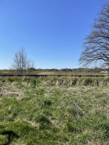 Ums Hochmoor ab Ahrensfelde