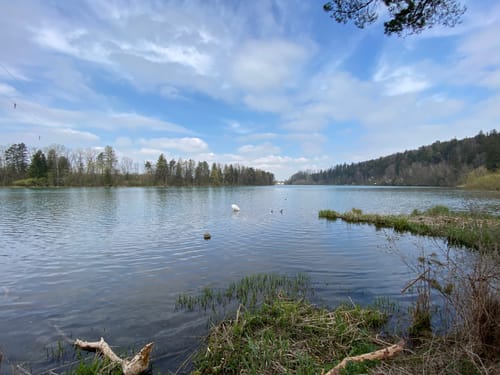 Illerstauseerunde