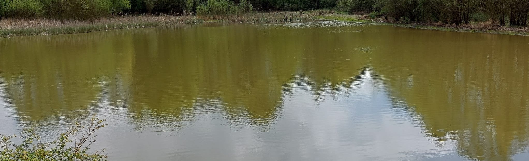 Walk in Taviet, Namur, Belgium 4 Reviews, Map AllTrails