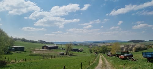 Der kleine Märker (Traumschleifchen)