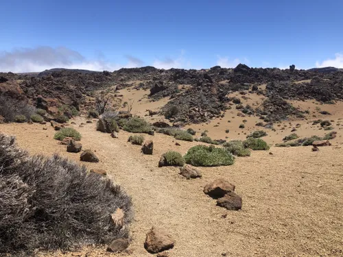 Best River Trails in Teide National Park | AllTrails