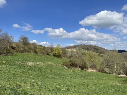 Jagdstein ab Bad Gottleuba