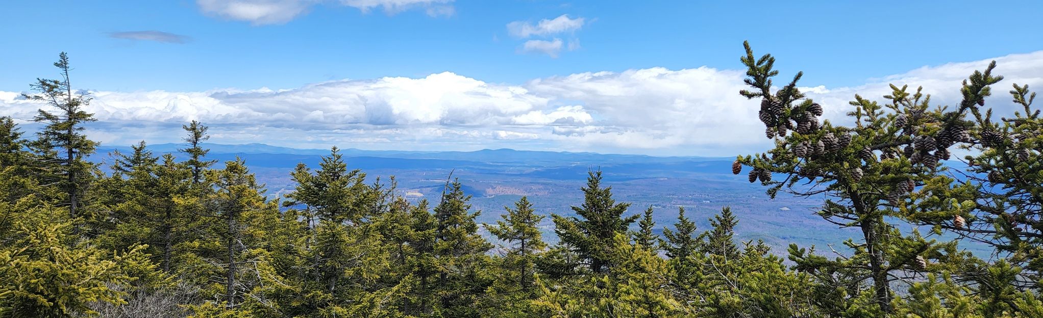 Mount Kearsarge via Barlow Trail: 440 Reviews, Map - New Hampshire ...