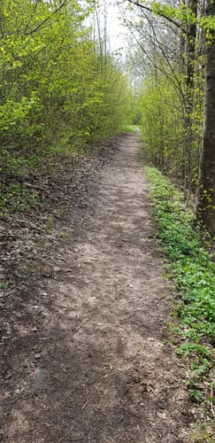 Kempten Wandertour: Entlang der Iller