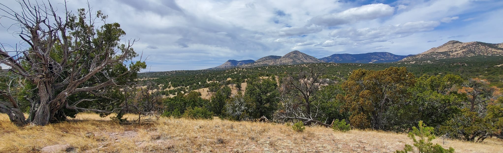 Datil Well Campground Outer Loop Trail 46 Reviews, Map New Mexico