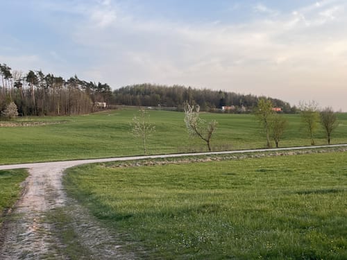 Wiegelshof nach Steinbächlein