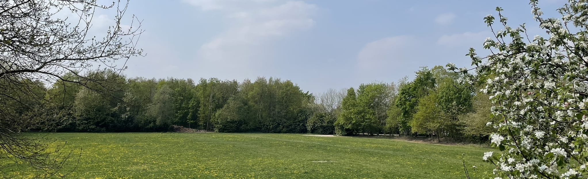 Den Hout Houtse Meer, North Brabant, Netherlands 4 Reviews, Map