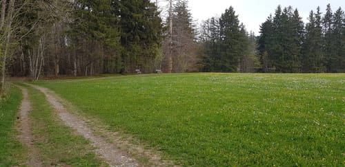 Rund um Lauben unter der Bruck und über den Mariaberg