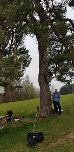 Rund um Lauben unter der Bruck und über den Mariaberg