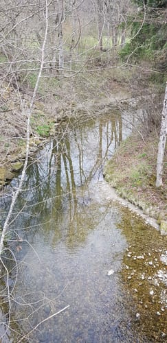Rund um Lauben unter der Bruck und über den Mariaberg