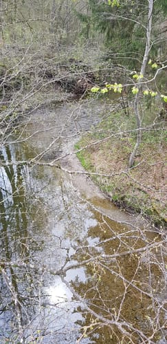 Rund um Lauben unter der Bruck und über den Mariaberg