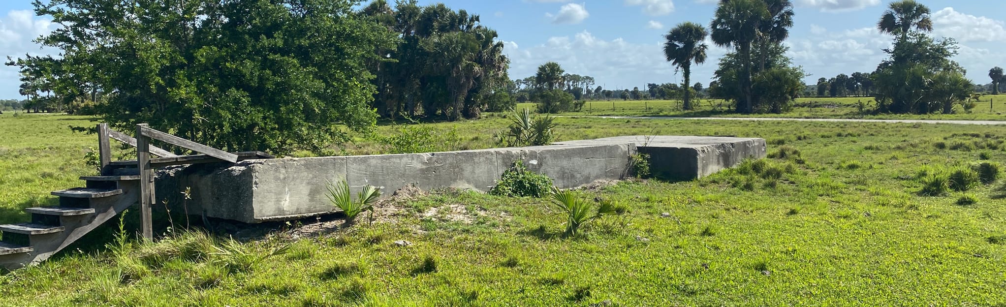 Pepper Ranch Preserve Loop, Florida 15 Reviews, Map AllTrails