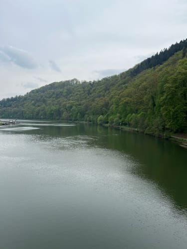 Neckarsteig Etappe 1: Heidelberg - Neckargemünd