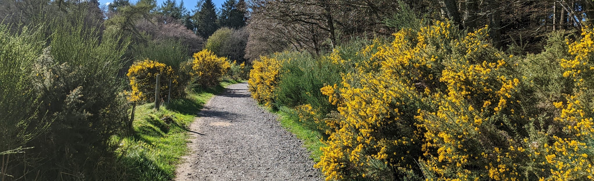 Kinnoull Hill and Deuchny Wood Map, Guide Perth and Kinross