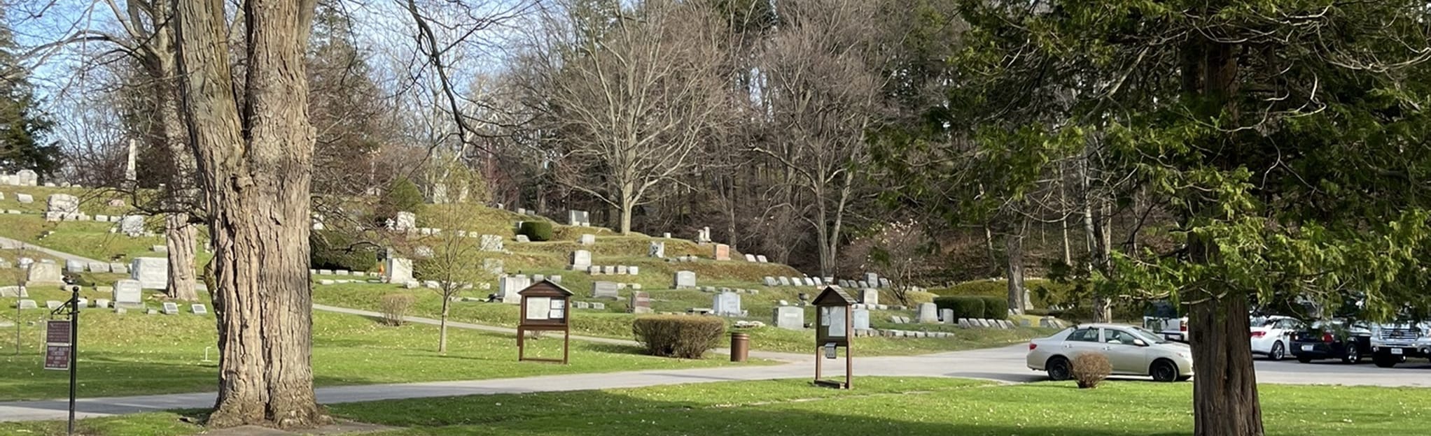 Mount Albion Cemetery 112 Fotos New York AllTrails