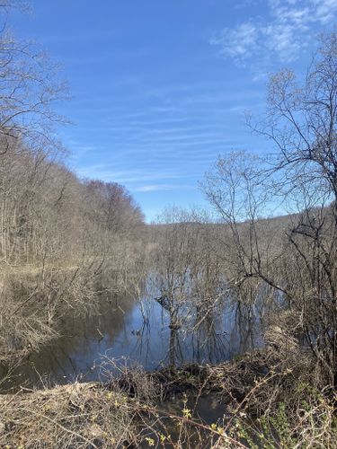 Escape to Tranquility: Trout Brook Valley State Park Reserve, Your Connecticut Oasis