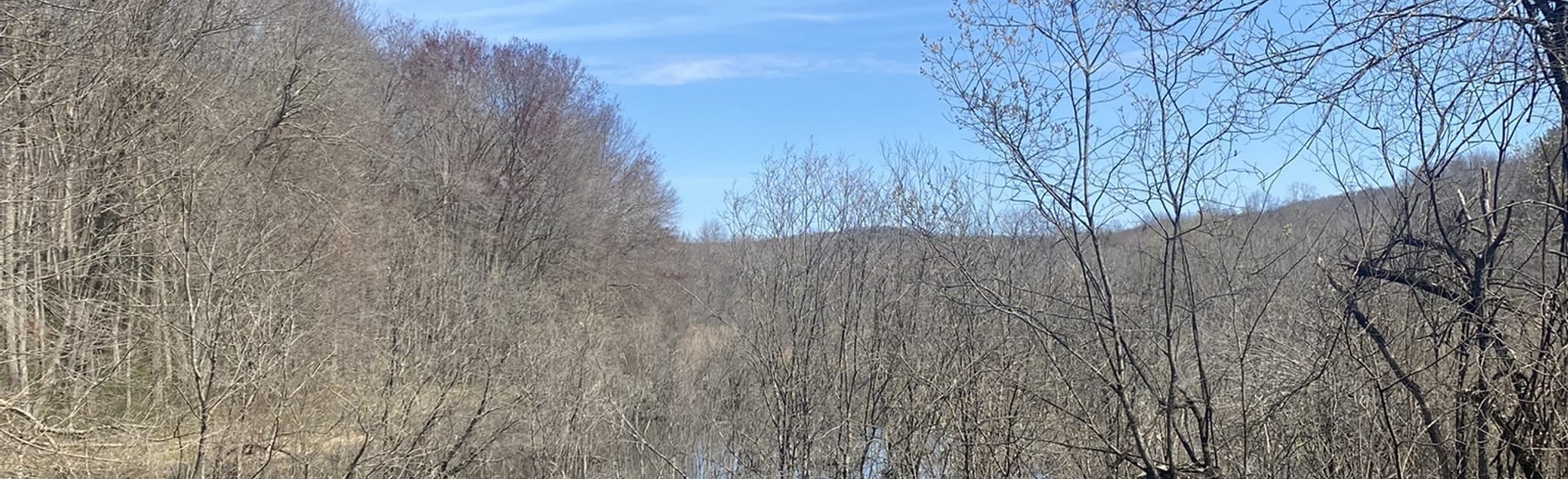 Green Trail to Red Trail to White Trail Loop 719 Reviews, Map Connecticut AllTrails