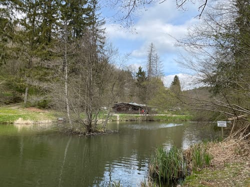 Wisper Geflüster (Premiumwanderweg)