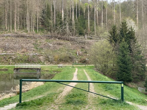 Wisper Geflüster (Premiumwanderweg)