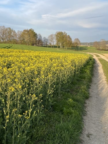 Rund um Scheyern