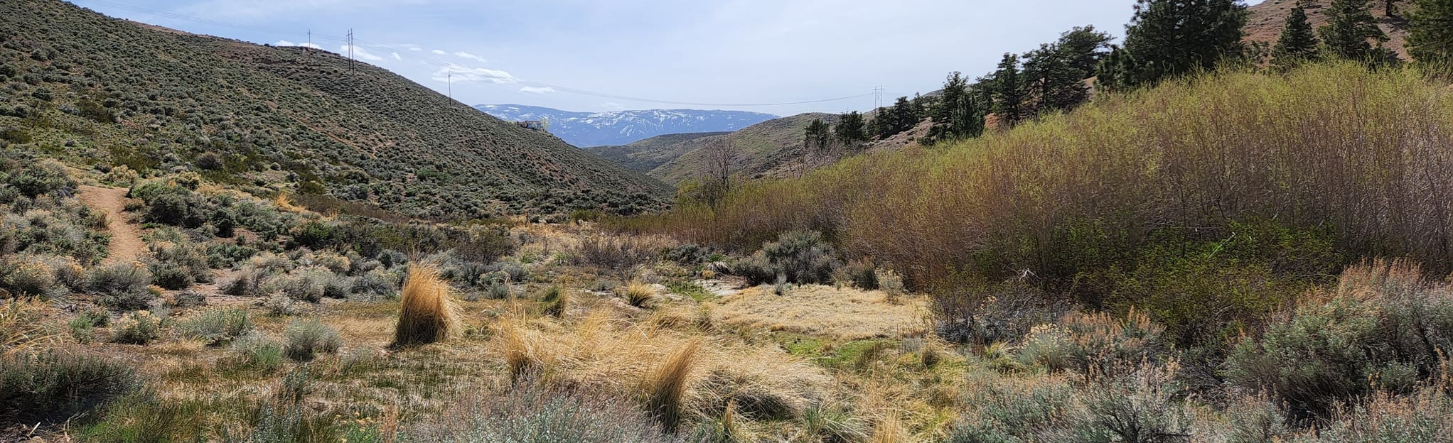 Evans Canyon and Miner's Trail Loop 502 foto Nevada AllTrails