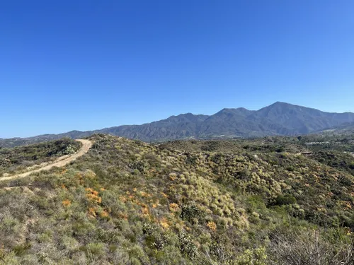 10 Best Trails And Hikes In Rancho Santa Margarita | AllTrails