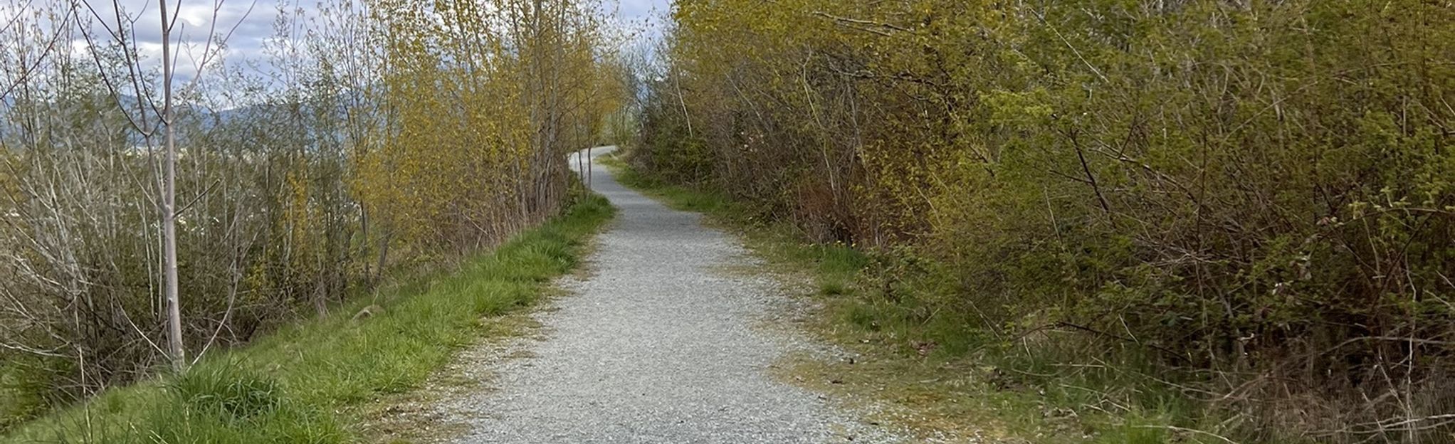 thornhill bike trails