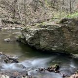 Trout Run Trail, Pennsylvania - 296 Reviews, Map | AllTrails