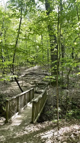 Best Short Trails In William B. Umstead State Park | AllTrails